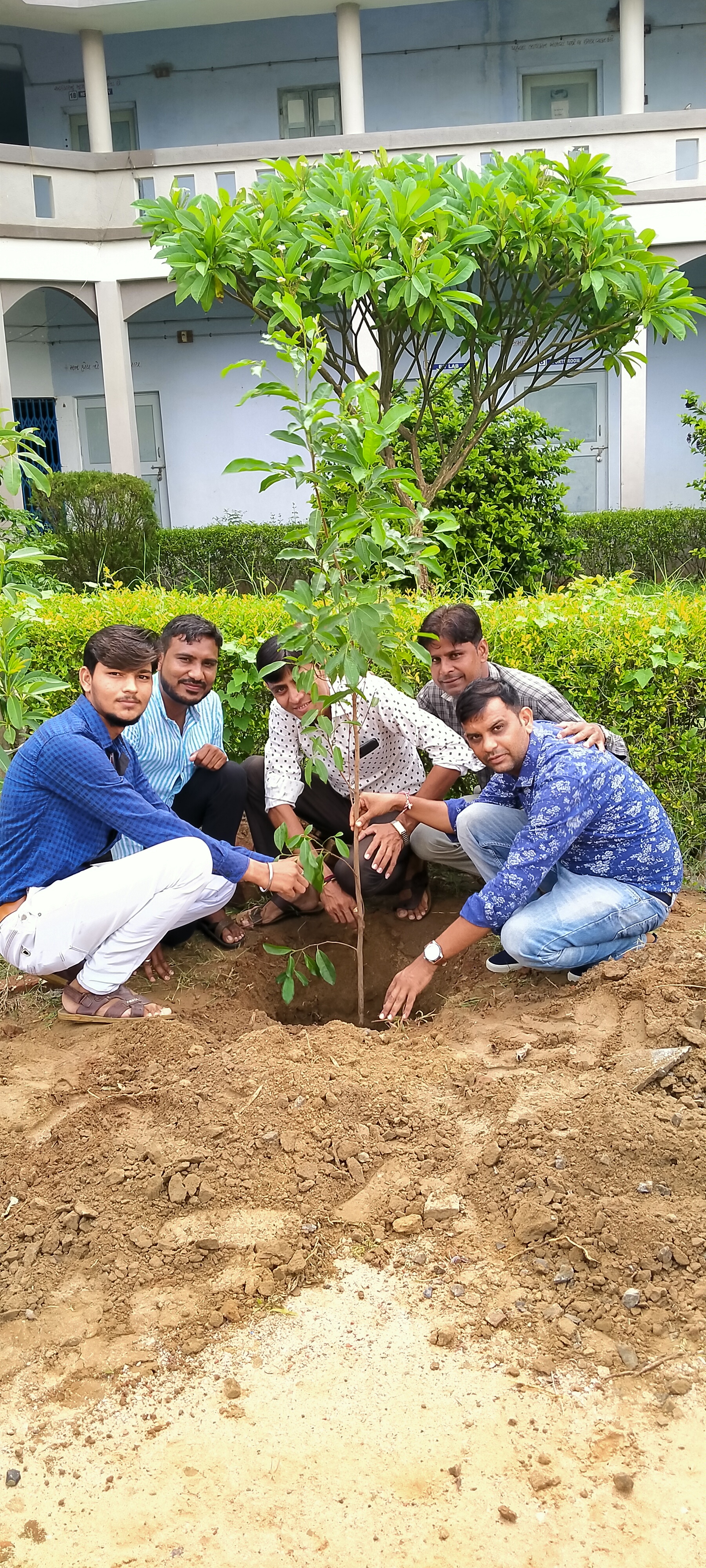 Tree Planting